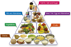Nutrition 101: The Basics of a Healthy Diet Plan