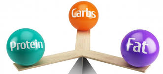 Macronutrients showing protein, carbohydrates and fats for healthy nutrition